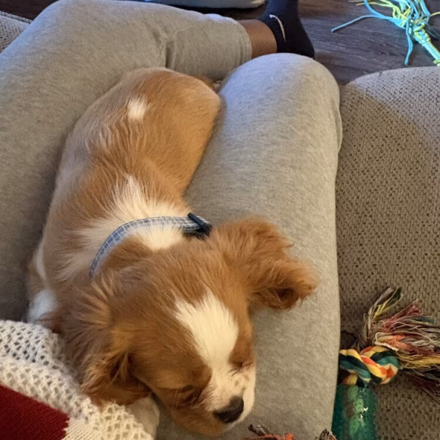 Vaccinated, Equipped, and ready to LOVE