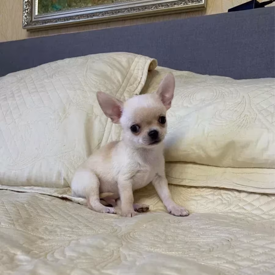 Gorgeous baby