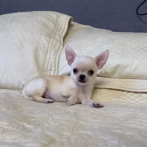 Gorgeous baby