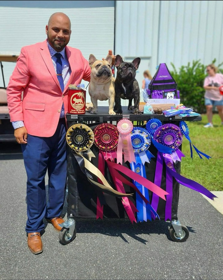 Playful AKC French Bulldog puppies in Georgia, ready to join your home.