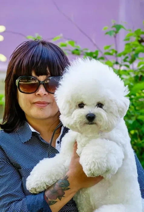 Adorable Bichon Frise Puppies for Sale!