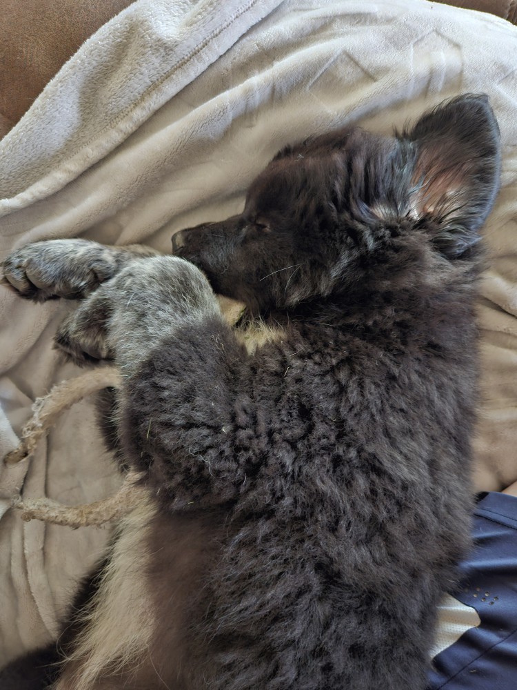 Big boy big heart