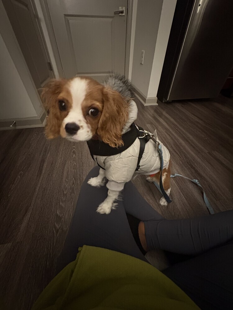 Vaccinated, Equipped, and ready to LOVE