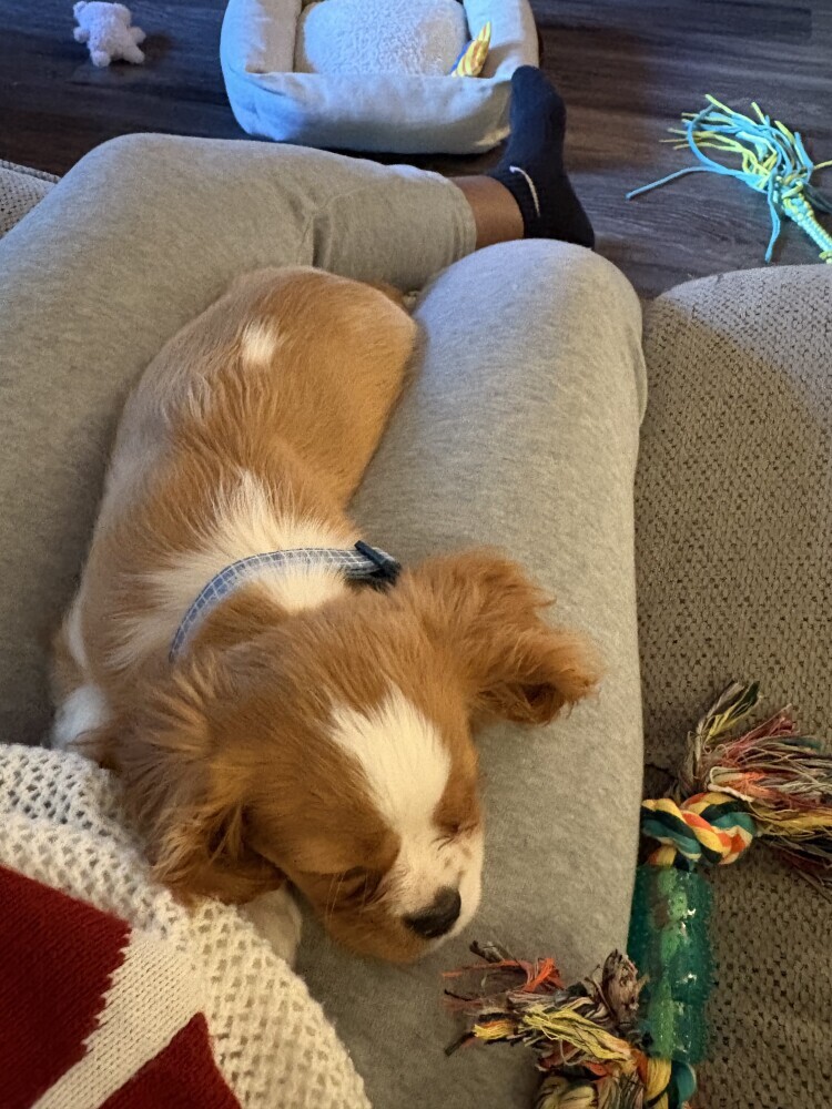 Vaccinated, Equipped, and ready to LOVE