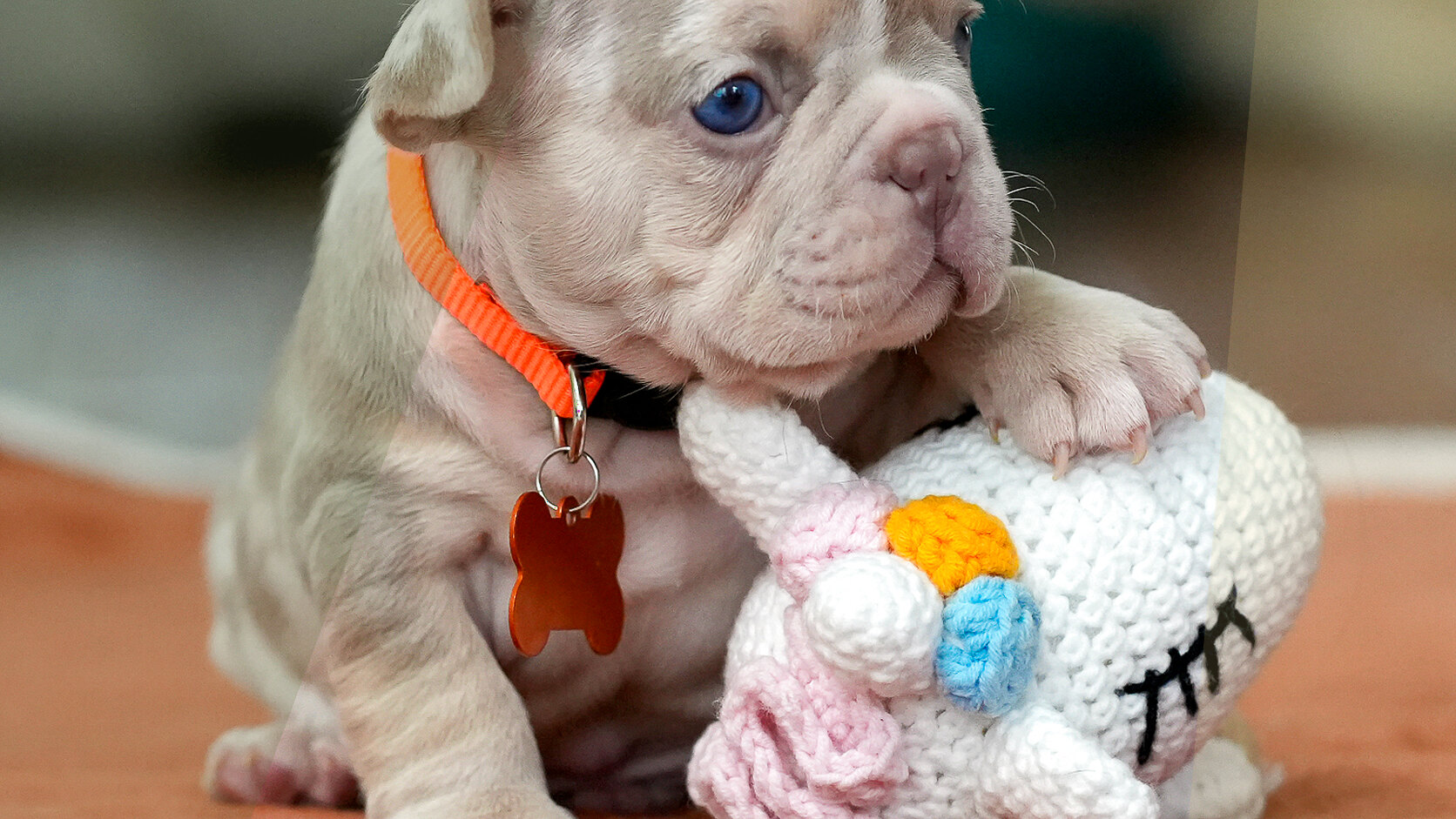 How Dogs Can Help People Fight Depression
