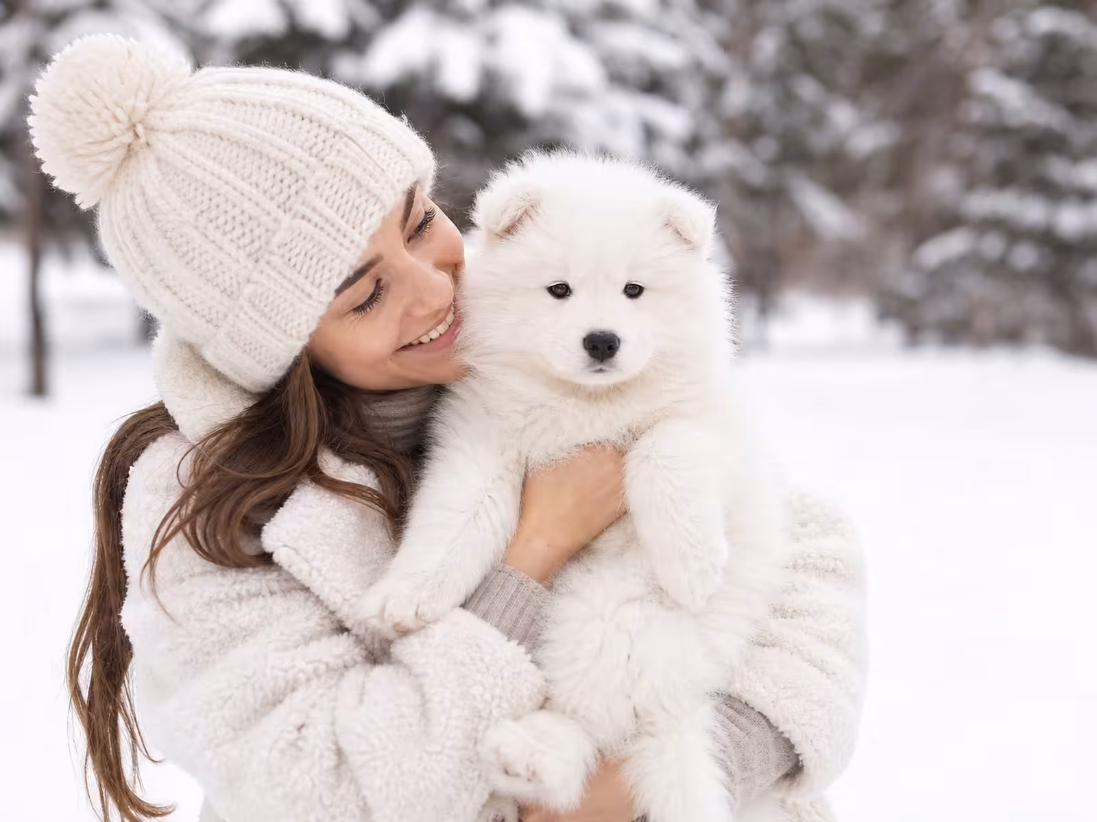 Top 5 Most Adopted Dog Breeds in 2025 (USA Edition)
